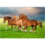 Castorland Koně v jarním spěchu 500 dílků – Zboží Dáma