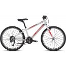 Specialized Hotrock 24 2017