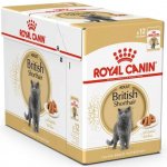 Royal Canin British Shorthair Gravy 12 X 85 g – Zbozi.Blesk.cz