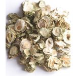 Bylinná lékárna Hořká okurka momordica 100 g – Zboží Dáma