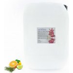 PM Aqualog esence do parních kabin kleč-citrus 924-010/D 10 l – Hledejceny.cz