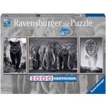 Ravensburger Panter slon a lev Panorama 1000 dílků – Sleviste.cz