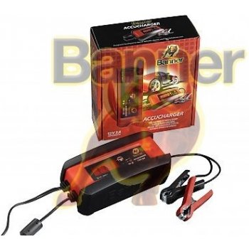 Banner Accucharger 12V 3A