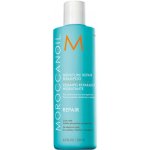Moroccanoil Moisture Repair Shampoo 250 ml – Zboží Mobilmania