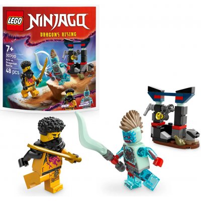 LEGO® Ninjago 30700 Dragons Rising – Zboží Dáma