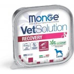 Monge Vet Dog Recovery imunita 150 g – Zboží Mobilmania