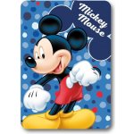 FARO Fleece deka Mickey puntíky – Sleviste.cz