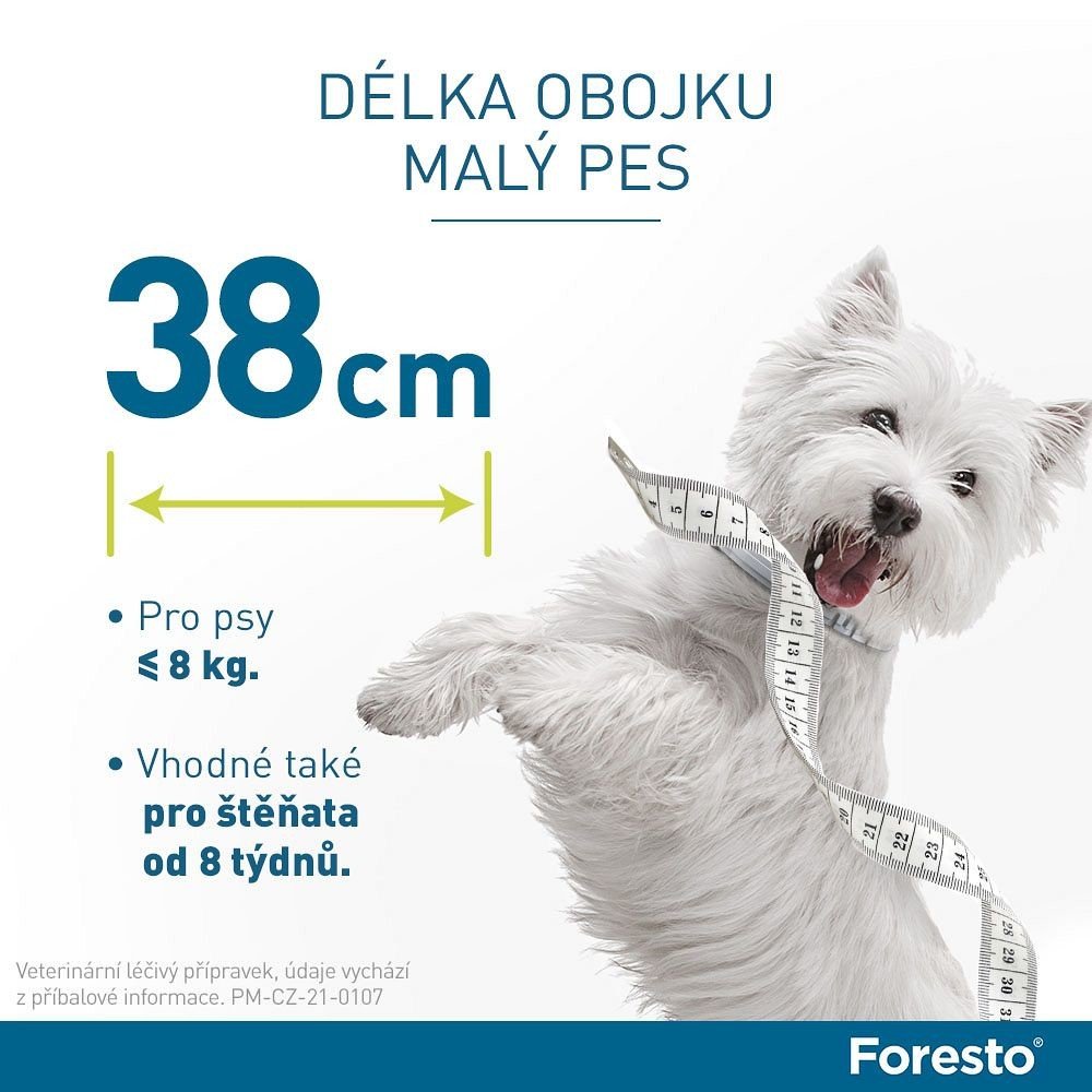 Foresto obojek pro malé psy a kočky do 8 kg 38 cm | Srovnanicen.cz