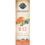 Garden of Life Vitamín B12 organics sprej 58 ml – Hledejceny.cz