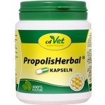 cdVet Naturprodukte GmbH Propolis Herbal 450 g – Hledejceny.cz