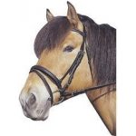 Kerbl Kožená uzdečka černá – Zbozi.Blesk.cz