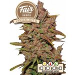 Fair Seeds AUTO Crystal Meth semena neobsahují THC 5 ks – Zboží Dáma