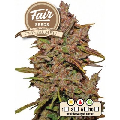 Fair Seeds AUTO Crystal Meth semena neobsahují THC 5 ks – Zboží Dáma