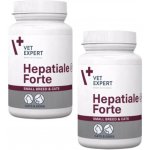 VetExpert Hepatiale Forte Small Breed & Cats 2 x 40 kapslí – Hledejceny.cz