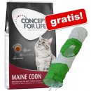 Concept for Life Maine Coon Adult 10 kg