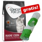 Concept for Life Maine Coon Adult 10 kg – Hledejceny.cz