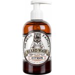 Mr. Bear Family Citrus šampon na vousy 250 ml – Zbozi.Blesk.cz