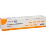 Aptus Reconvalescent Cat pasta pro kočky 60 g – Zbozi.Blesk.cz