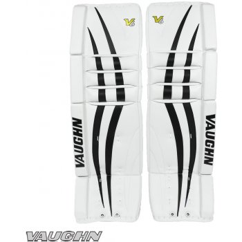 vaughn v6 vpg 1000 pro senior