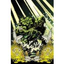 Swamp Thing: Protector of the Green Snyder ScottPaperback