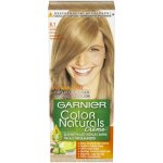 Garnier Color Naturals světlá blond popelavá 8.1 – Zboží Mobilmania