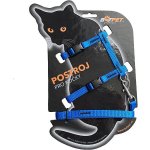 Bafpet Set CAT kšír + vodítko 120 cm 19 - 26 cm 24 - 37 cm – Zboží Dáma