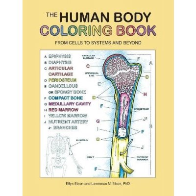 The Human Body Coloring Book: From Cells to Systems and Beyond Coloring Concepts IncPaperback – Zbozi.Blesk.cz