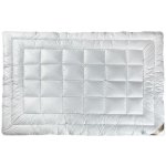 Klinmam Dacron 95 přikrývka - celoroční 135x200 – Hledejceny.cz