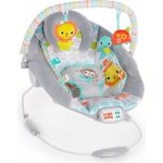 Bright Starts lehátko vibrující s melodií Whimsical Wild – Zboží Dáma