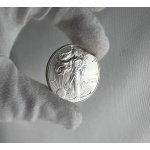 The United States Mint American Eagle stříbrná mince 1 Oz – Zboží Dáma