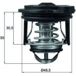 Termostat, chladivo MAHLE TI 246 50