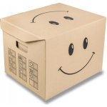 Europapier Úložná krabice pro archivační boxy 390 x 322 x 297 mm hnědá – Hledejceny.cz