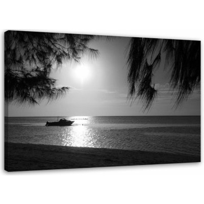 Obraz na plátně Sea Palms Black and White - 100x70 cm – Zbozi.Blesk.cz