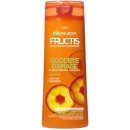 Garnier Fructis Goodbye Damage Energising Shampoo 250 ml