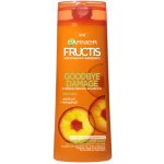 Garnier Fructis Goodbye Damage Energising Shampoo 250 ml – Hledejceny.cz