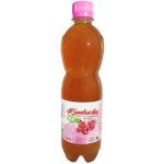 Stevikom Kombucha černý čaj Bio s malinou 0,5 l – Zboží Dáma