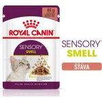 Royal Canin Sensory Smell gravy 12 x 85 g – Hledejceny.cz