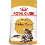 Royal Canin Maine Coon Adult granule pro kočky 2 x 10 kg – Zboží Mobilmania