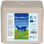 S.I.N.Hellas Vitamín plus Selen minerální liz s organickým selenem, bez mědi pro skot ovce kozy 10 kg – Zbozi.Blesk.cz