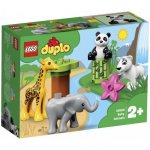 LEGO® DUPLO® 10904 Zvířecí mláďátka – Hledejceny.cz
