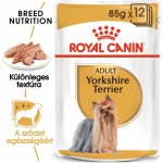 Royal Canin Yorkshire Adult 12 x 85 g – Zboží Mobilmania