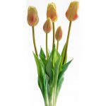 Svazek TULIPÁNY světle žluté 46 cm, 5 ks – Hledejceny.cz