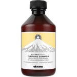 Davines Naturaltech Purifying Shampoo 100 ml – Hledejceny.cz