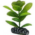 Hobby Saururus 7 cm umělá – Sleviste.cz