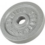 Gorilla Sports litina 2,5 kg 30/31 mm – Hledejceny.cz