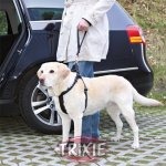 Trixie Vodítko k bezpečnostnímu postroji PROTECT PLUS – Hledejceny.cz