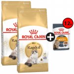 Royal Canin Ragdoll Adult granule pro kočky 2 x 10 kg – Hledejceny.cz