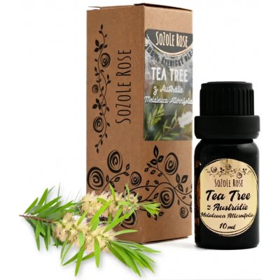 SoZoLe Rose Éterický olej Tea tree z Austrálie 10 ml – Hledejceny.cz