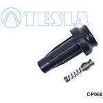 TESLA Zástrčka, zapalovací svíčka CP068 – Hledejceny.cz