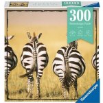 RAVENSBURGER Moment: Zebry 300 dílků – Hledejceny.cz